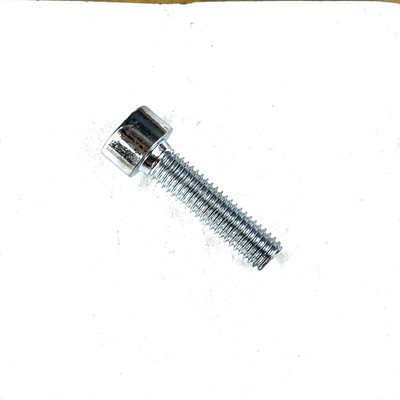 Cheese Head Screw (32M11)