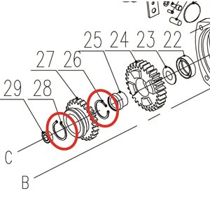 shield ring for shaft