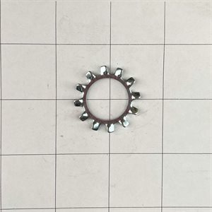 20MM Lock washer star - ( T4 )