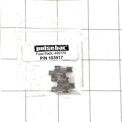2 amp Circuit board fuse (pack of 5)